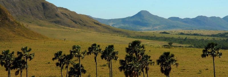 Billet Balade à vélo du Cerrado