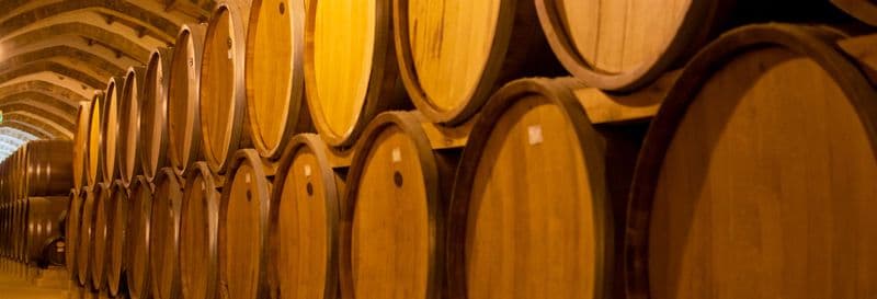 Billet Excursion au domaine viticole de Concha y Toro