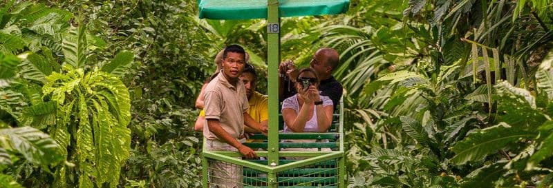 Billet Excursion au parc national de Soberanía et au sanctuaire des paresseux