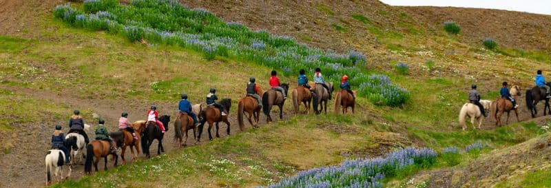 Billet Cercle d'Or + Balade à cheval