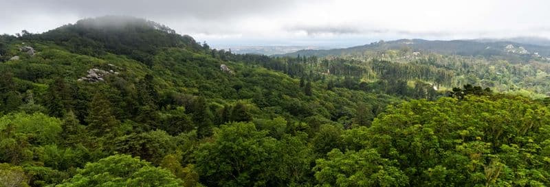 Billet Randonnée au Parc Naturel Sintra-Cascais
