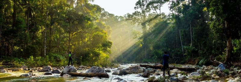 Billet Excursion dans la jungle Taman Negara