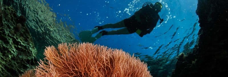 Baptême de plongée à Mykonos