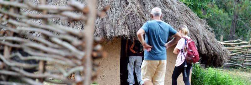Billet Visite guidée du parc archéologique de Campo Lameiro