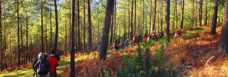 Billet Visite de la mine de Buratos dos Mouros
