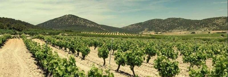 Billet Visite du domaine viticole Balcona