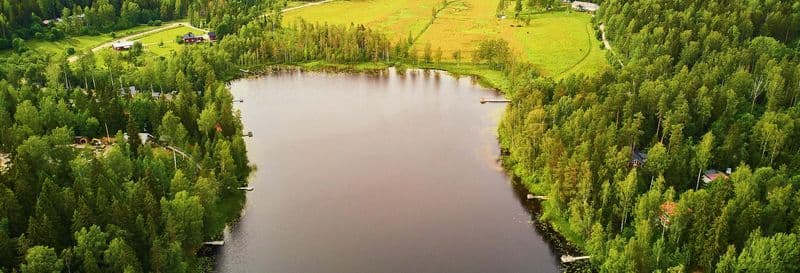 Billet Excursion au parc national de Sipoonkorpi + sauna finlandais