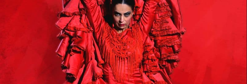Billet Spectacle au Teatro Flamenco Sevilla
