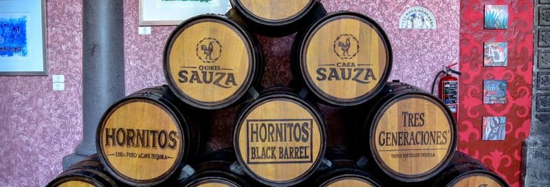 Visite de la distillerie Casa Sauza + Spectacle de ballet folklorique