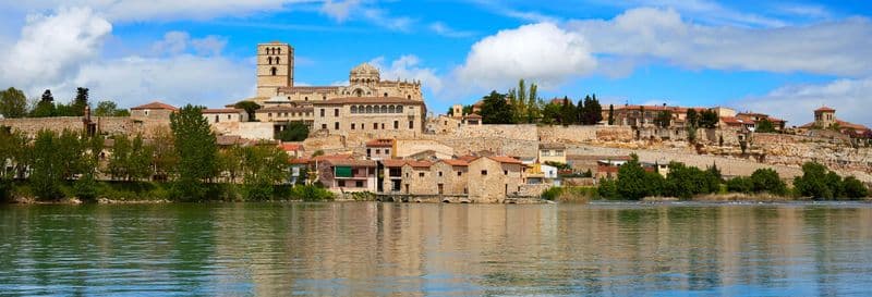 Billet Visite guidée dans Zamora