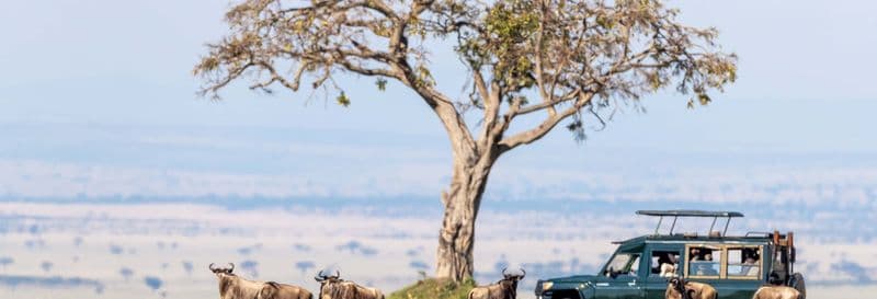 Billet Safari de 3 jours dans la réserve de Masai Mara