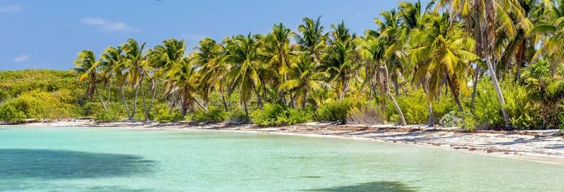 Billet Excursion à l’Isla Contoy et l’Isla Mujeres