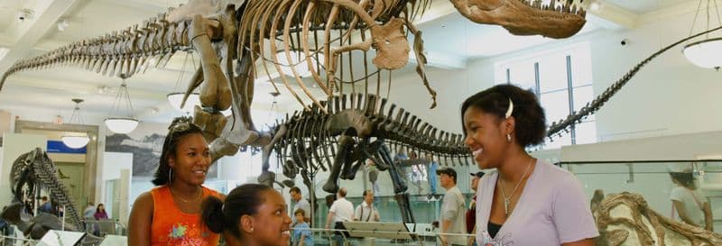 Billet Billet pour le Musée américain d'histoire naturelle