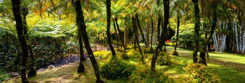 Navette pour le jardin botanique de Balata