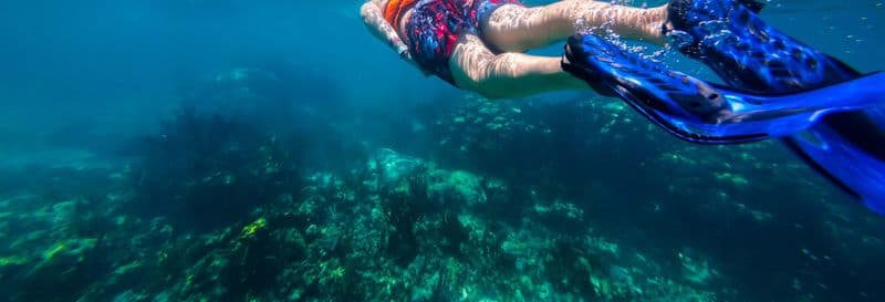 Billet Snorkeling à Xcalak