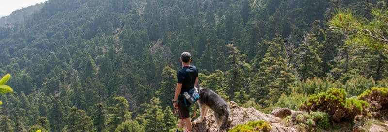Billet Randonnée dans la forêt de pins d'Estepona