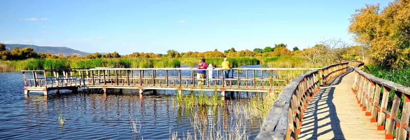 Billet Randonnée aux Tablas de Daimiel