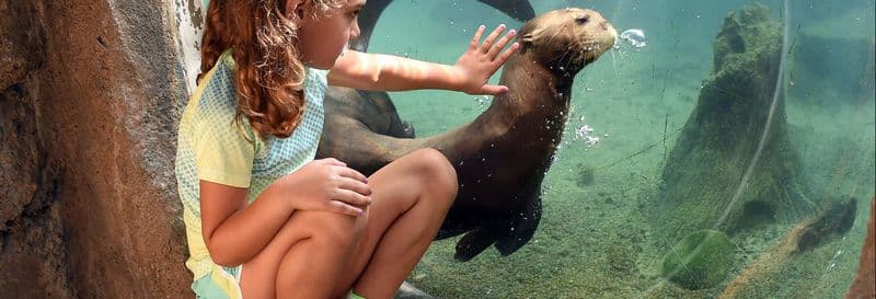 Billet pour le Zoo de Miami