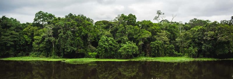 Excursion au Parc national de la Mefou et à la réserve forestière d'Ebogo