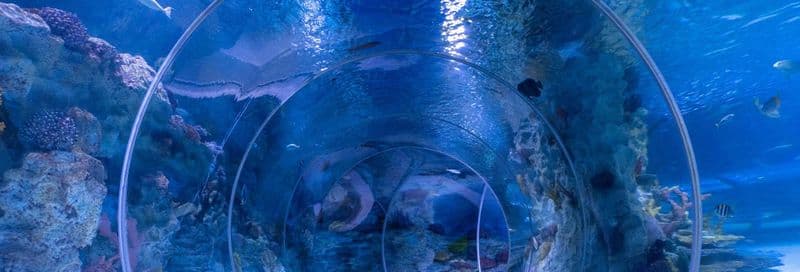 Billet Billet pour l'aquarium Emaar