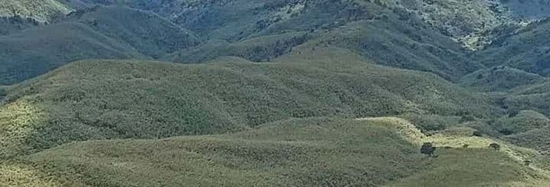 Billet Trek dans la forêt de Kimakia