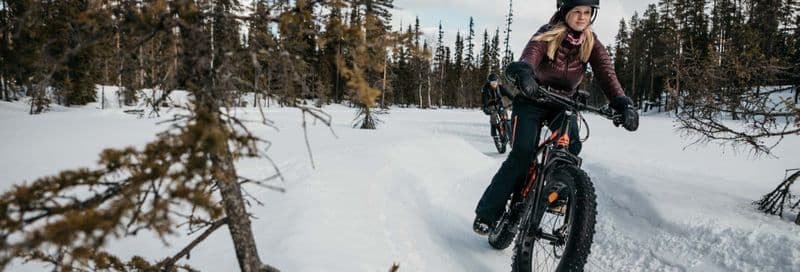 Balade à vélo électrique dans Pallas-Yllästunturi