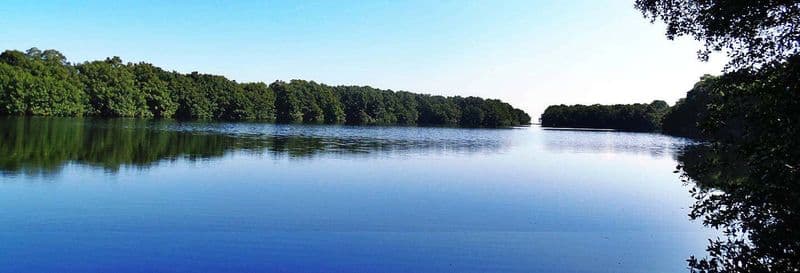 Billet Balade en kayak dans la lagune de Cacao