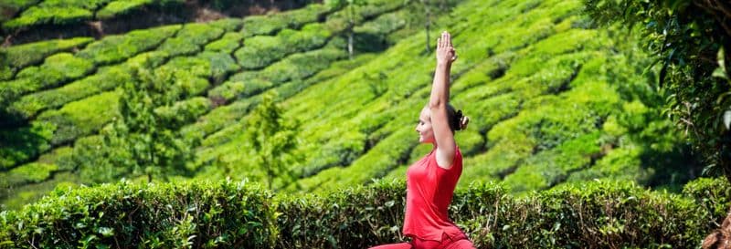 Billet Retraite de yoga de 4 jours à Jhansi