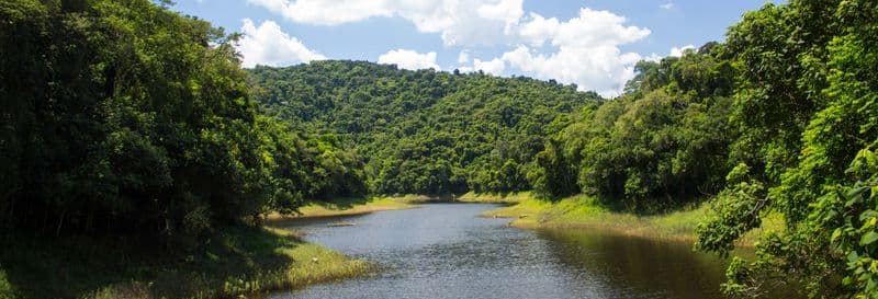 Randonnée dans la Serra da Cantareira