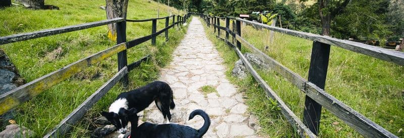 Billet Randonnée vers le canyon de Combeima et Casa Loma