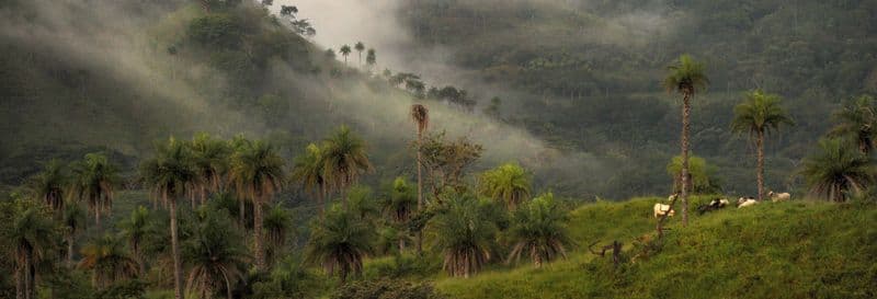 Billet Randonnée dans la forêt de nuages de Monteverde