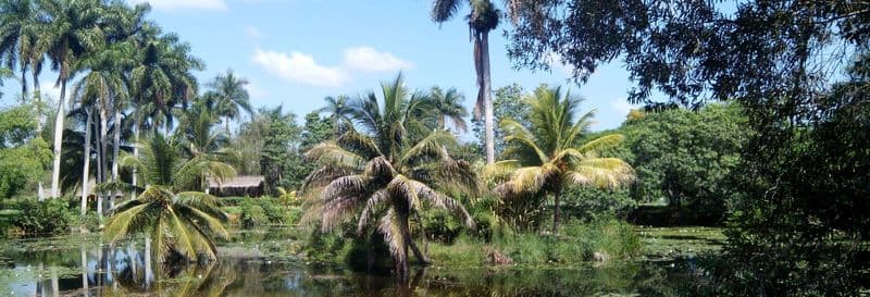 Billet Excursion aventure sur le fleuve Hatiguanico et à Guamá