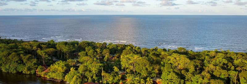 Billet Circuit de 2 ou 3 jours dans le parc national de Tortuguero