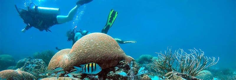 Billet Plongée dans l'archipel de Los Frailes
