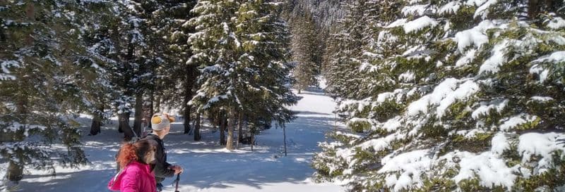 Randonnée au parc national Piatra Craiului