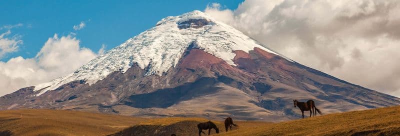 Billet Excursion à Cotopaxi et Quilotoa