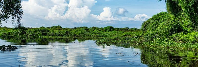 Billet Balade en bateau sur le lac Tonlé Sap