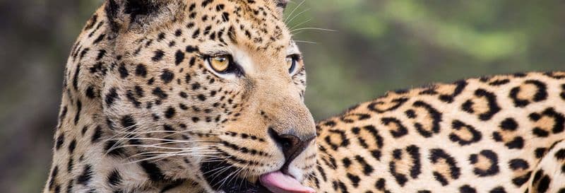 Billet Billet pour Terra Natura Murcie