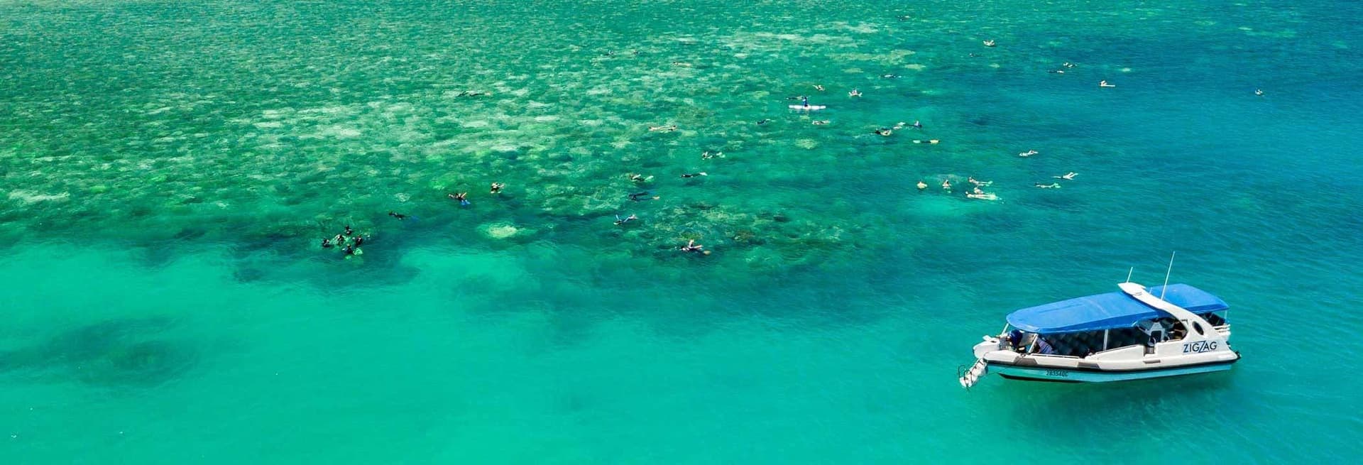 Excursion aux îles de Whitsundays Island en bateau