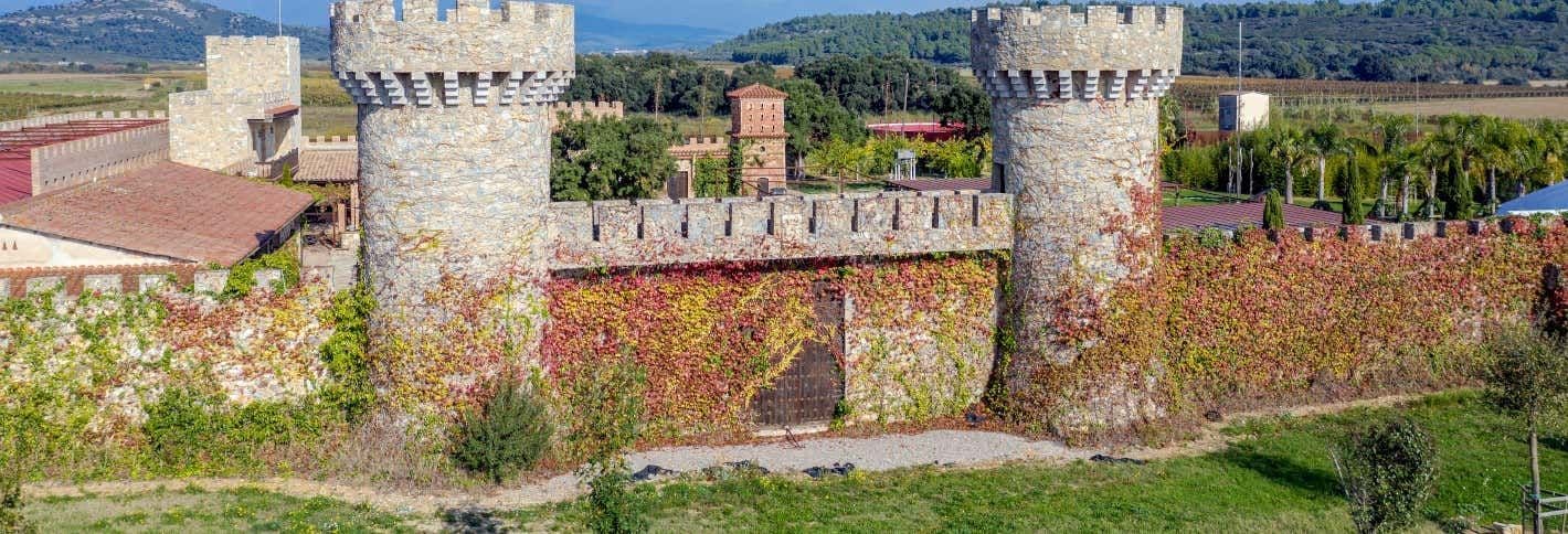 Excursion à Gérone et à l'Alto Ampurdán + Dégustation de vins
