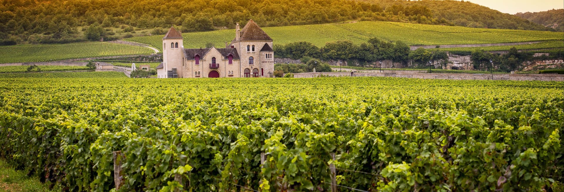 Billet Balade en 4x4 dans les vignobles de Bélesta