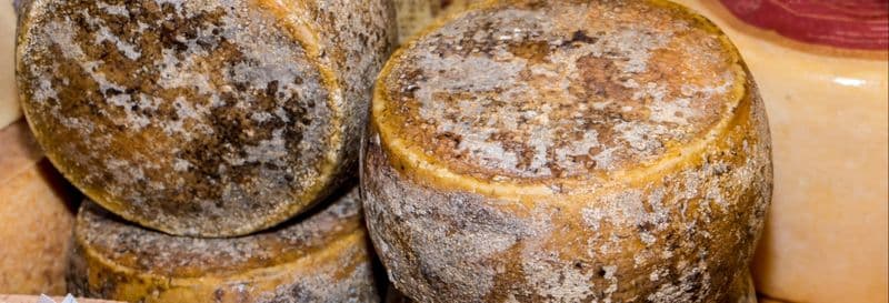 Dégustation de vin, de fromage et de charcuterie à Cagliari