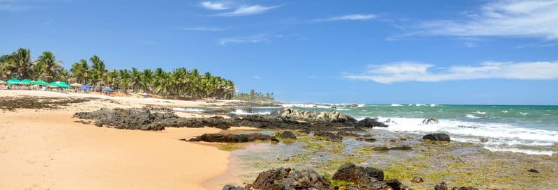 Billet Excursion à Praia do Forte et Guarajuba