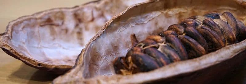 Visite sur le thème du chocolat à Turin