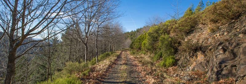 Visite dans la Serra de Marão en 4x4