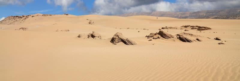 Balade dans le désert en buggy