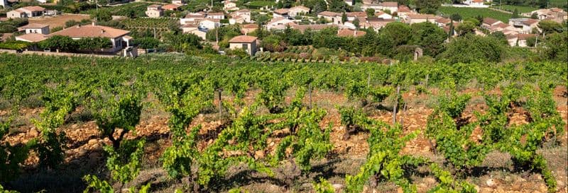 Billet Excursion à Châteauneuf-du-Pape