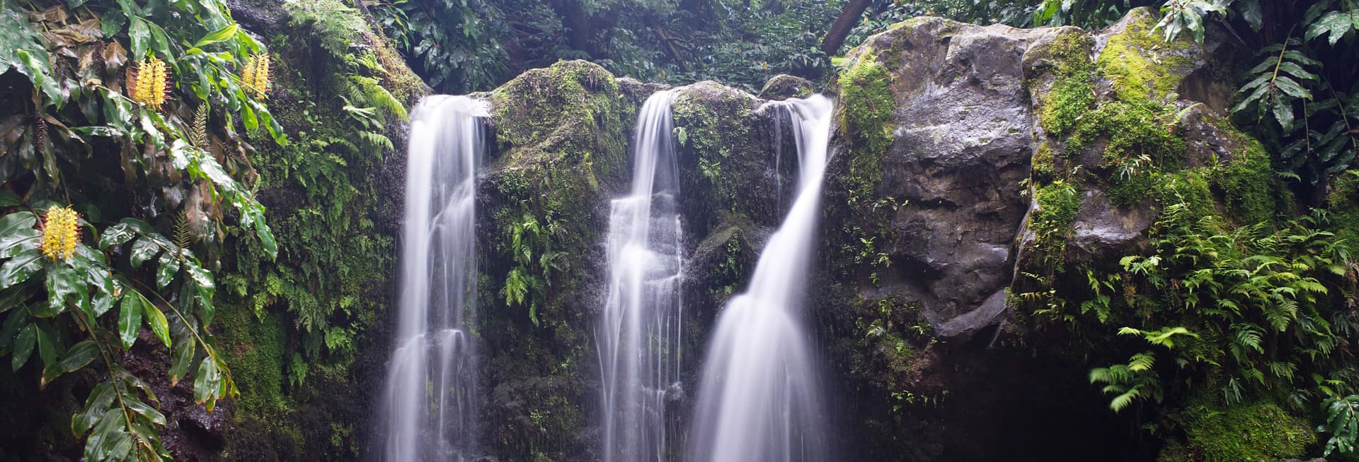 Canyoning à Ribeira dos Caldeirões