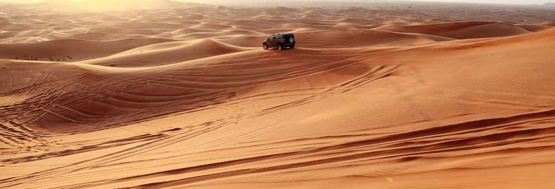 Safari dans le désert avec dîner-spectacle