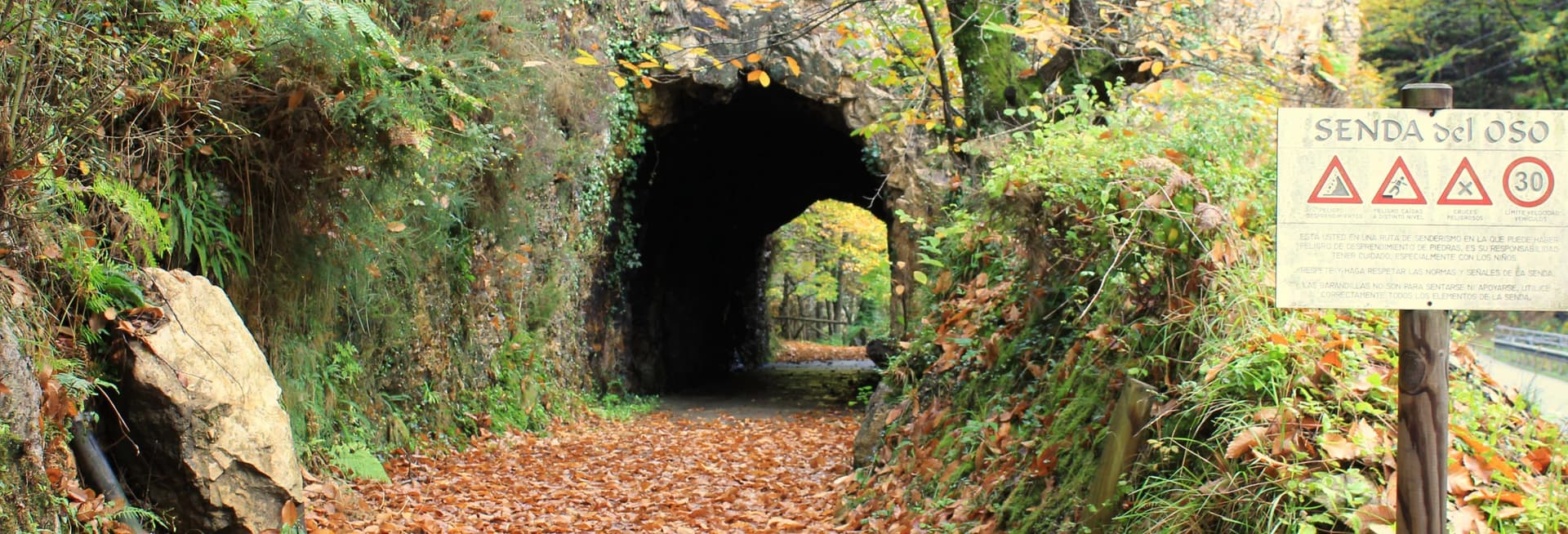 Balade à vélo à la Senda del Oso